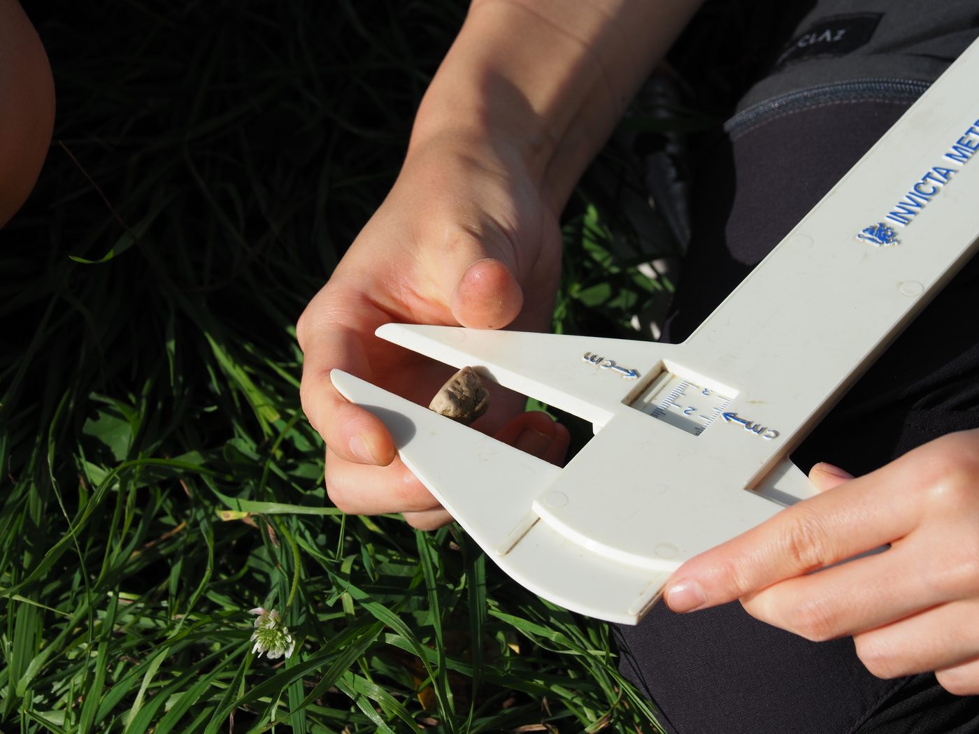 Hands holding a plastic vernier calliper closed around a small pebble on the riverbank, the scale in centimetres visible beside it.